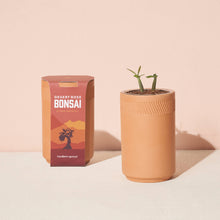 Load image into Gallery viewer, Terracotta Grow Kit: Healing Aloe