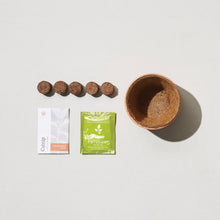 Load image into Gallery viewer, Tiny Terracotta Grow Kits: Thank You Daisy