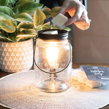 Load image into Gallery viewer, 5.5 oz Wax Melts: Pink Guava