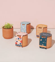 Load image into Gallery viewer, Tiny Terracotta Grow Kits: Thank You Daisy