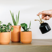 Load image into Gallery viewer, Tiny Terracotta Grow Kits: Thank You Daisy