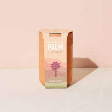 Load image into Gallery viewer, Terracotta Grow Kit: Healing Aloe