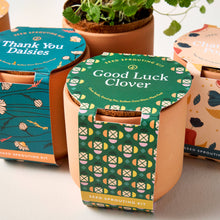 Load image into Gallery viewer, Tiny Terracotta Grow Kits: Thank You Daisy