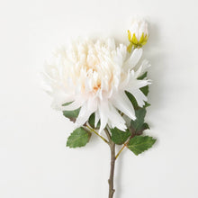 Load image into Gallery viewer, Soft Cream Dahlia Spray