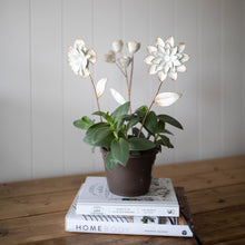 Load image into Gallery viewer, Abeline Antique White Metal Floral Stems
