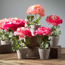 Load image into Gallery viewer, ELEGANT POTTED PINK PEONY
