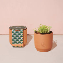 Load image into Gallery viewer, Tiny Terracotta Grow Kits: Thank You Daisy
