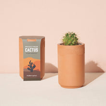 Load image into Gallery viewer, Terracotta Grow Kit: Healing Aloe
