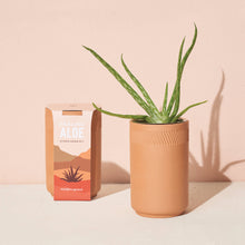 Load image into Gallery viewer, Terracotta Grow Kit: Healing Aloe
