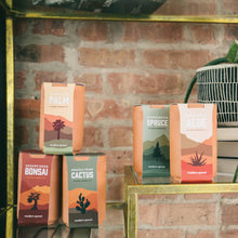 Load image into Gallery viewer, Terracotta Grow Kit: Healing Aloe
