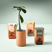 Load image into Gallery viewer, Terracotta Grow Kit: Prickly Pear Cactus
