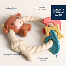 Load image into Gallery viewer, Ritzy Rattle™ Silicone Teether Rattles: Highland Cow
