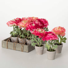 Load image into Gallery viewer, ELEGANT POTTED PINK PEONY
