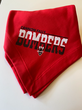 Load image into Gallery viewer, Blanket For Fans By Gilden
