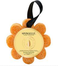 Load image into Gallery viewer, SPONGELLE-WILD FLOWER SPONGES
