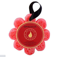 Load image into Gallery viewer, SPONGELLE-WILD FLOWER SPONGES
