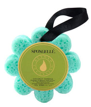 Load image into Gallery viewer, SPONGELLE-WILD FLOWER SPONGES
